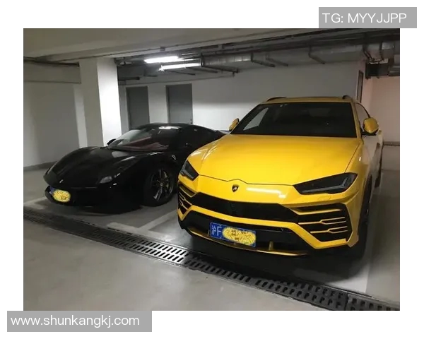 中国足球明星们的豪车盛宴与个性化车库揭秘