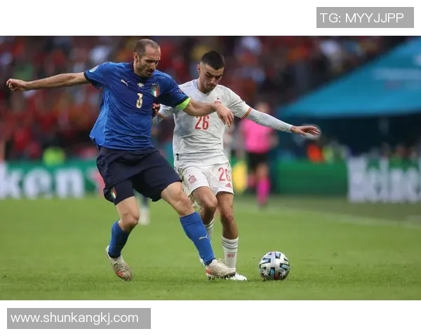 佩德里在欧洲杯上的精彩表现集锦回顾与分析