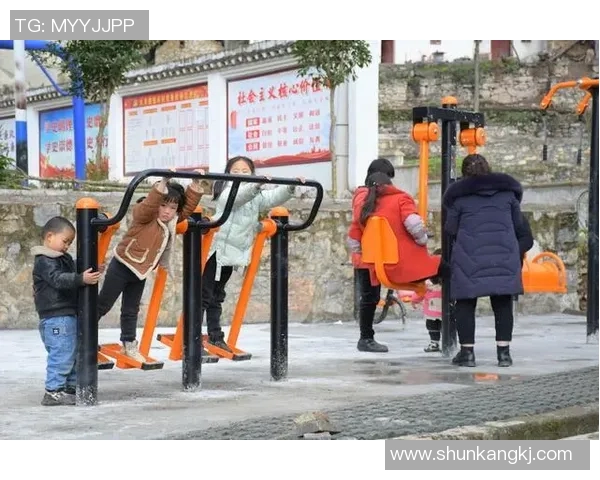 全面解析农村健身器材的种类与使用方法助力乡村健康生活